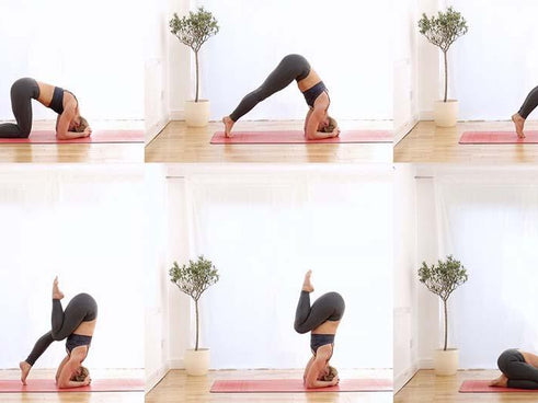 How to Pincha Mayurasana (forearm stand) in yoga