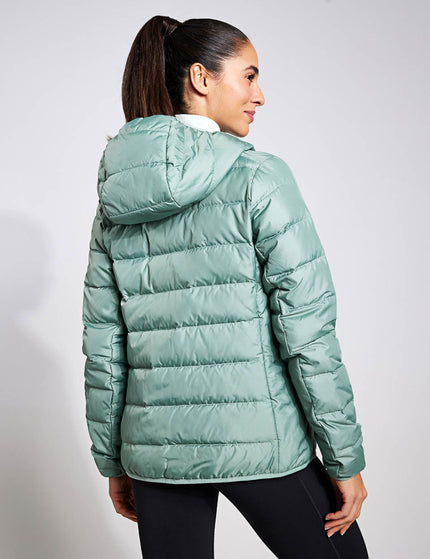 adidas Terrex Multi Light Down Hooded Jacket - Silver Greenimages2- The Sports Edit