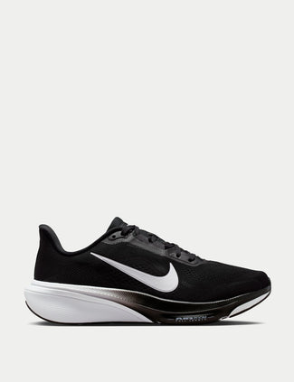 Pegasus 42 