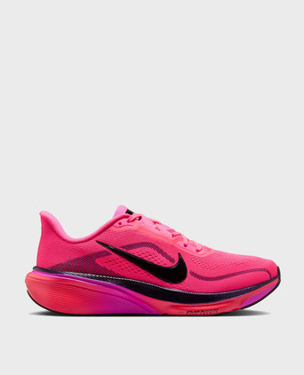 Pegasus 42 